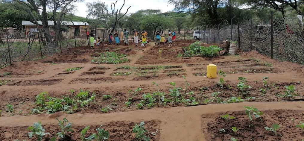 Fenced community kitchen garden plots